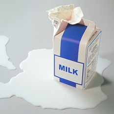 Milk2234